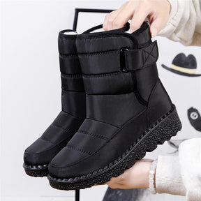 Bota Cano Curto Feminina - Shoes Winter. - Teus Pulos